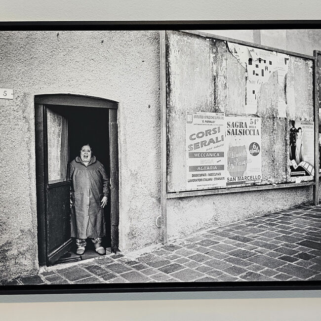 Foto aus der Leica Galerie, fotografiert von Horst Zanus