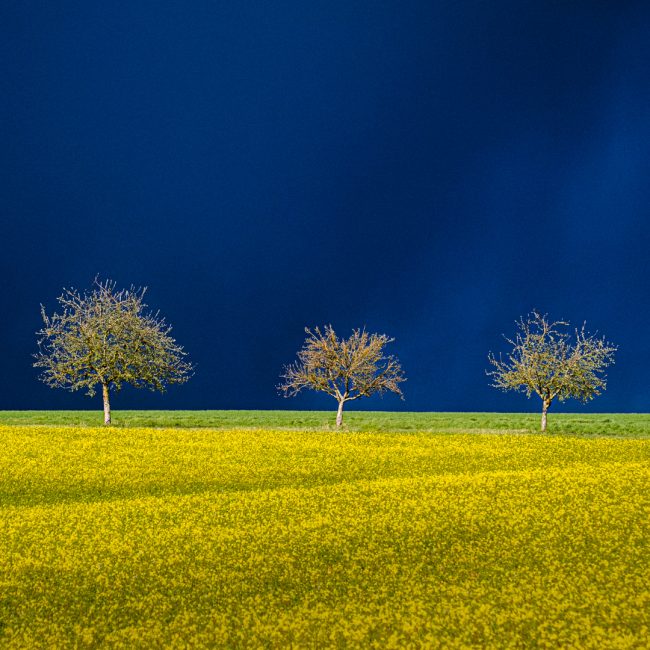 Vor dem Gewitter von Hans Göring